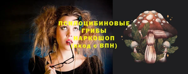 apvp Богородск