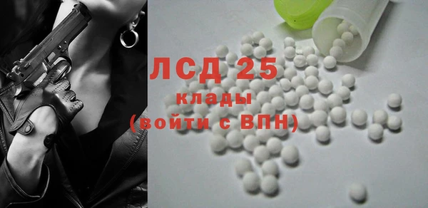 гидра Богданович