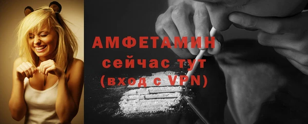 гидра Богданович