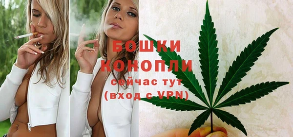 гидра Богданович