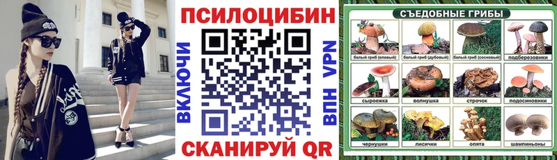 Псилоцибиновые грибы MAGIC MUSHROOMS  Купить закладки  Оха 